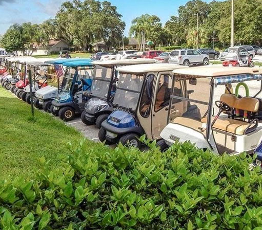 Golf Carts in Sun City Center Florida