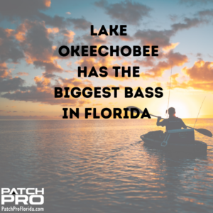 Where are the largest bass fish in Florida