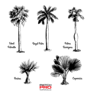 Which trees are from Florida