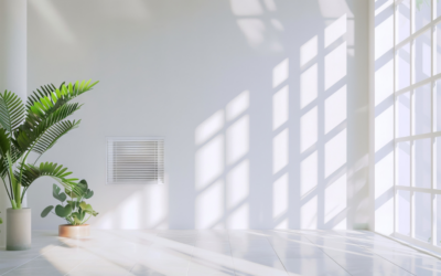 Improving Indoor Air Quality in Tampa