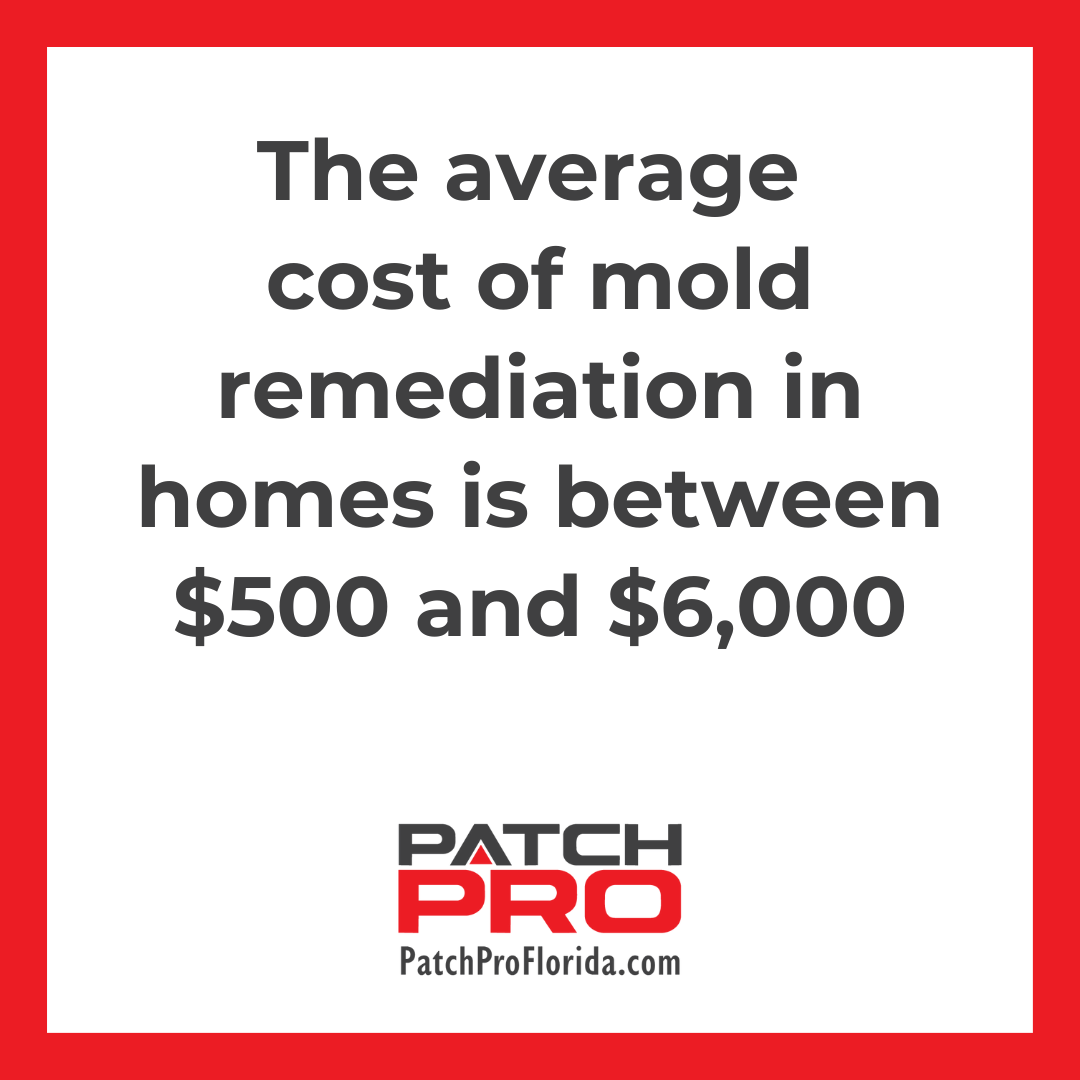 how much does mold repair cost