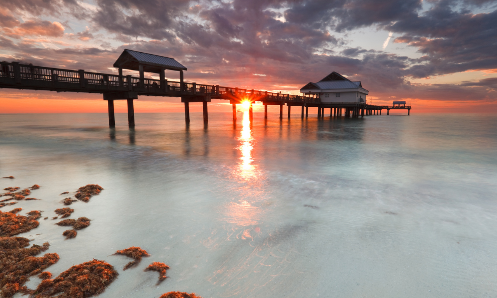 Where to Catch Tampa’s Best Summer Sunset Views