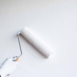 Home Painting in South Highpoint, Florida (6152)