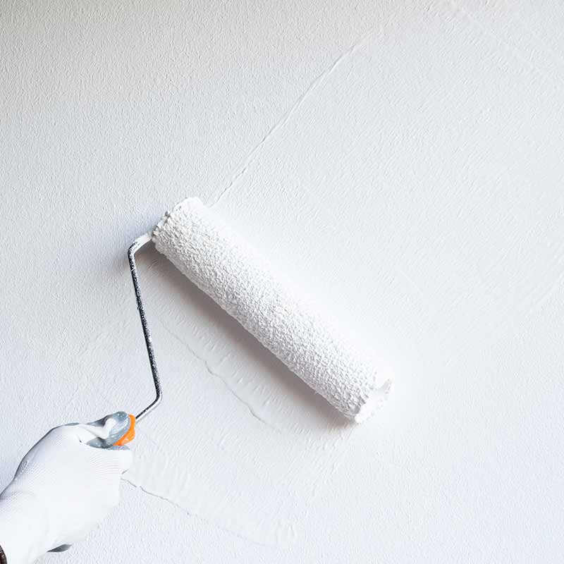 Home Painting in South Highpoint, Florida (939)