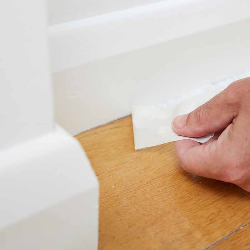 Home Painting in Wesley Chapel, Florida (9269)