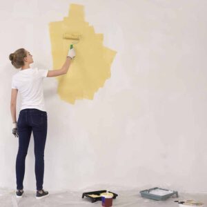 Home Painting in Wesley Chapel, Florida (7105)